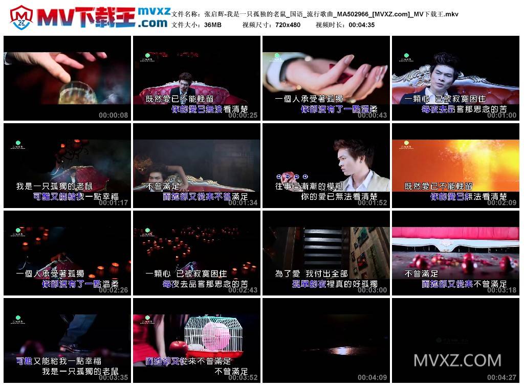 张启辉-我是一只孤独的老鼠_国语_流行歌曲_MA502966